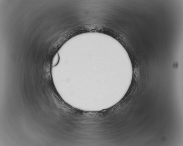 X0000113960963200911061322