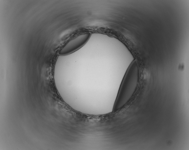 X0000113960965200911061322