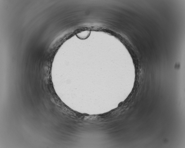 X0000113960967200911061322