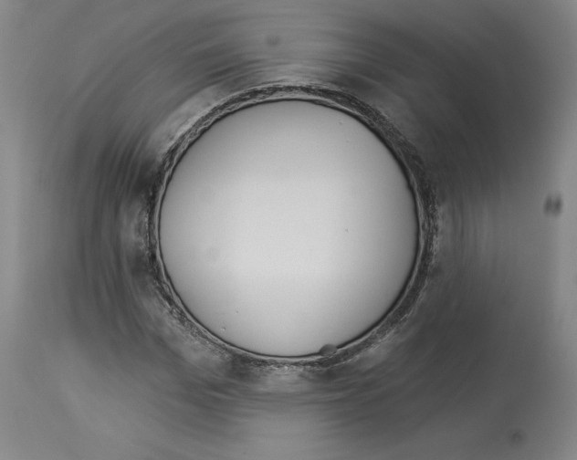 X0000113960969200911061322