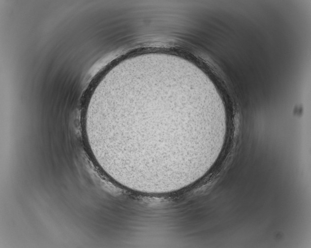 X0000113960970200911061322