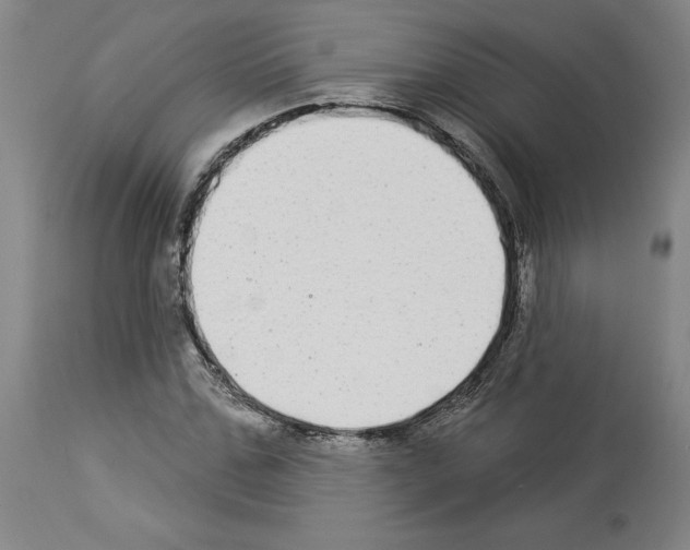 X0000113960971200911061322