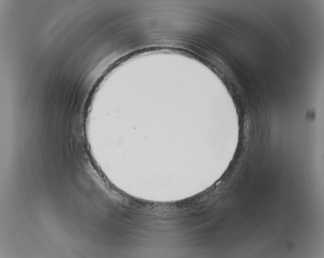 X0000113960972200911061322