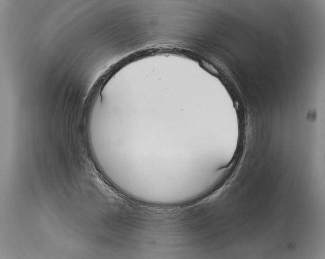X0000113960973200911061322