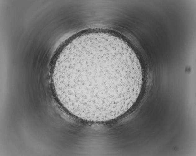 X0000113960974200911061322