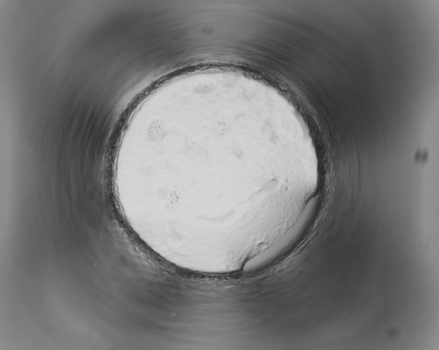 X0000113960975200911061322
