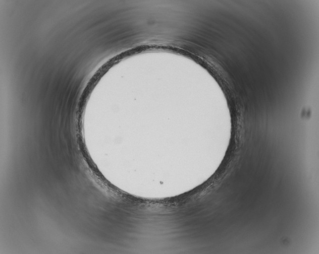 X0000113960976200911061322