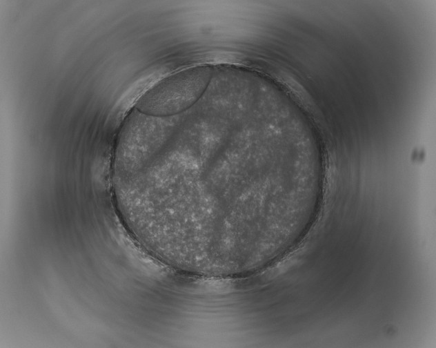 X0000113960977200911061322