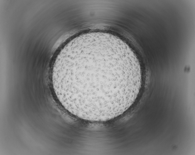 X0000113960978200911061322