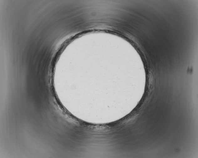 X0000113960979200911061322