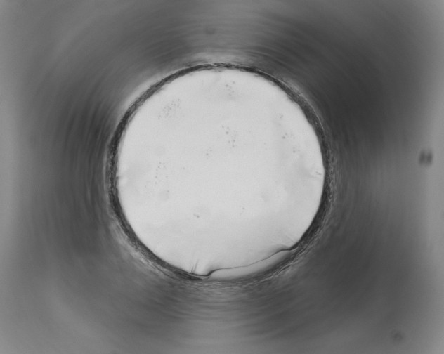 X0000113960983200911061322
