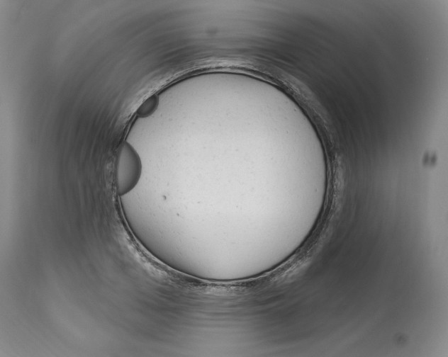 X0000113960985200911061322
