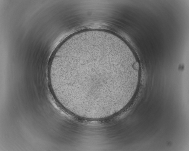 X0000113960986200911061322