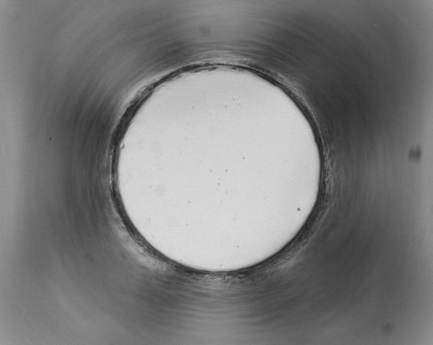 X0000113960987200911061322