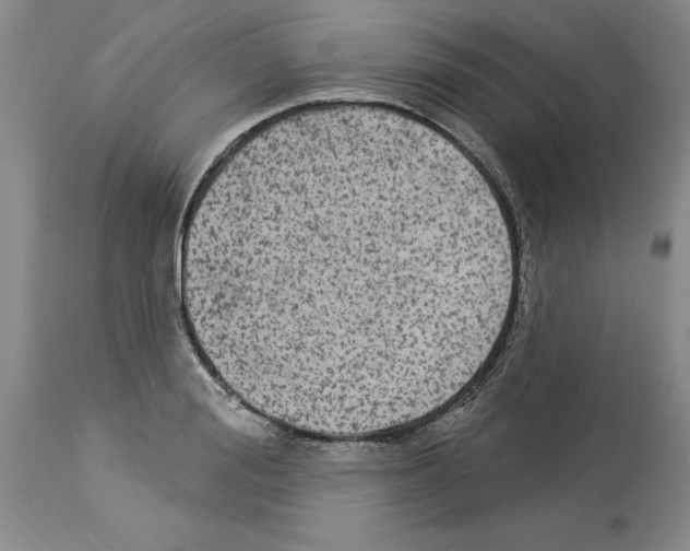 X0000113960988200911061322