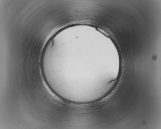 X0000113960989200911061322