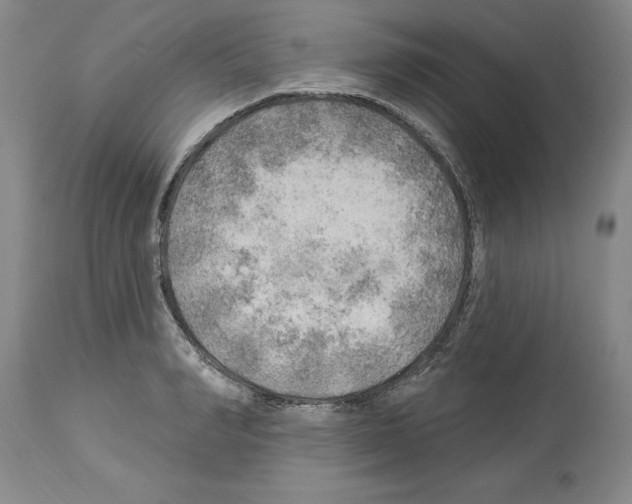 X0000113960990200911061322