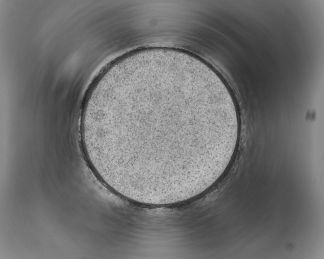 X0000113960992200911061322