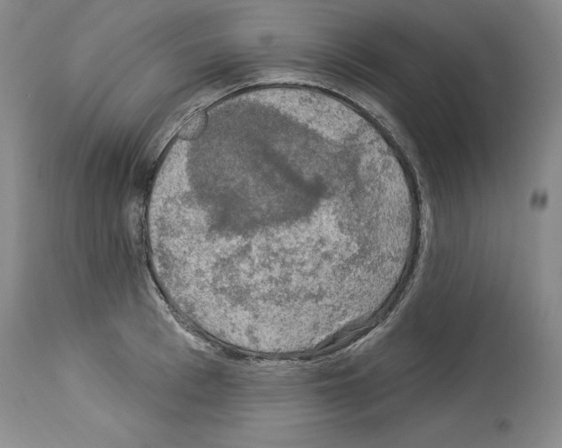X0000113960993200911061322