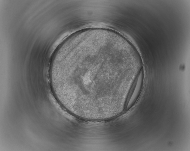 X0000113960997200911061321