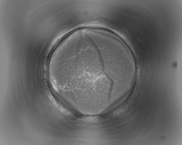 X0000113960998200911061321