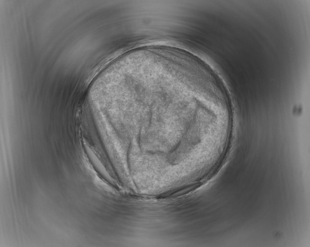 X0000113961001200911061321