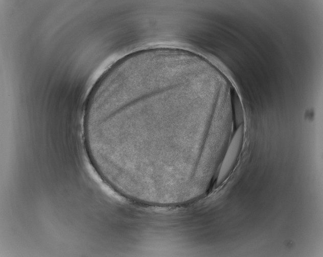 X0000113961005200911061321