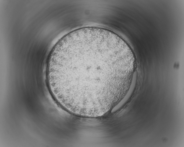 X0000113961007200911061321