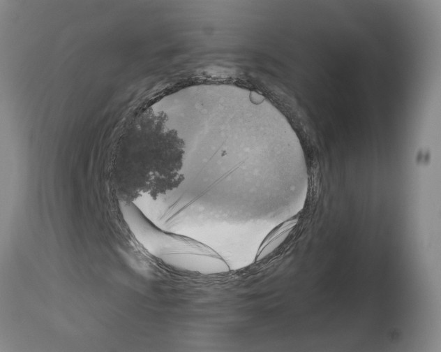 X0000113961009200911061320