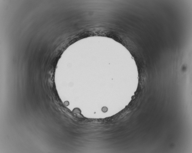 X0000113961010200911061320