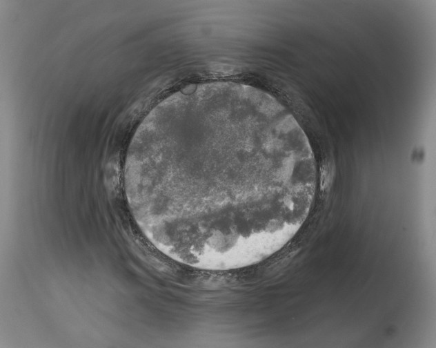 X0000113961011200911061320