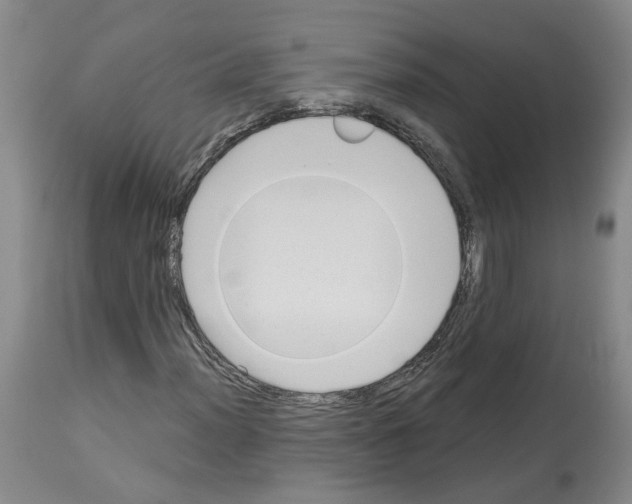 X0000113961012200911061320