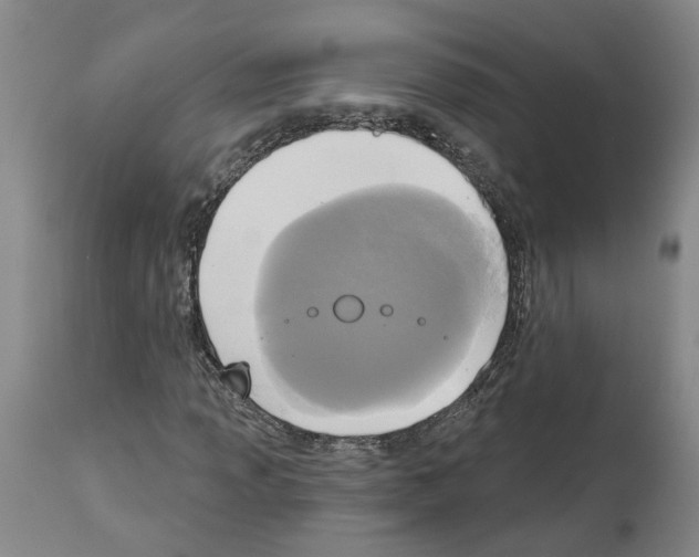 X0000113961013200911061321