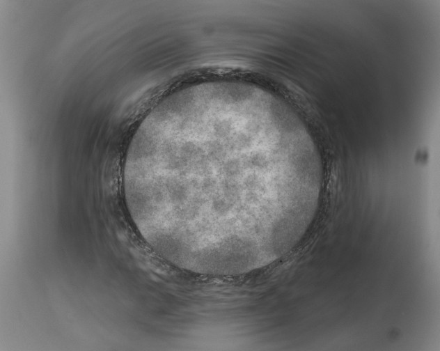 X0000113961014200911061321