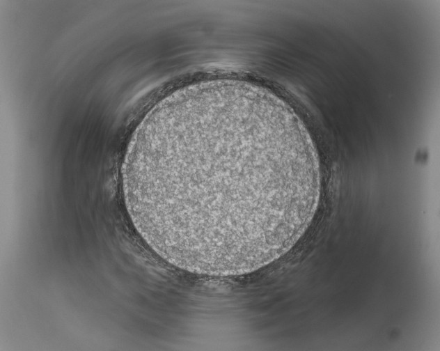 X0000113961015200911061321