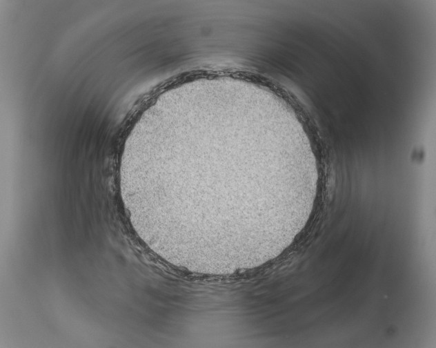 X0000113961016200911061321