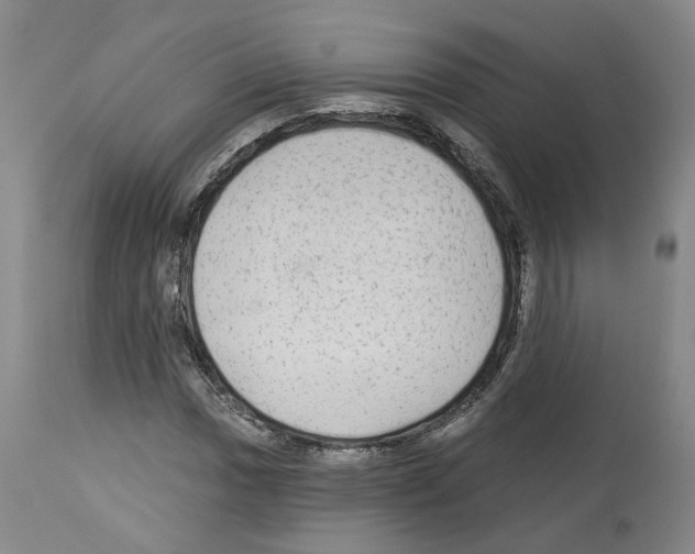 X0000113961017200911061321