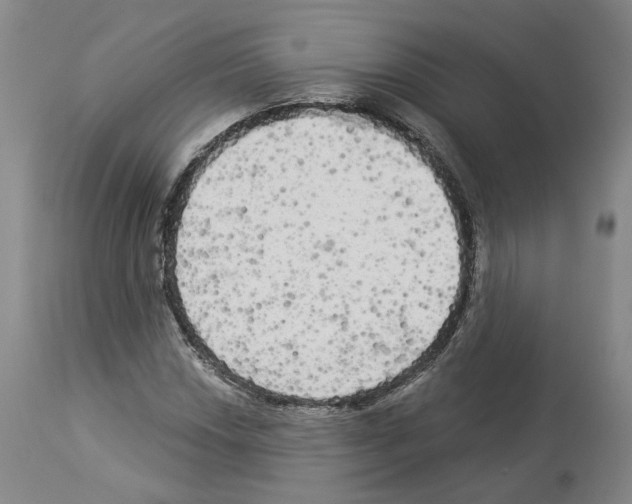 X0000113961018200911061321