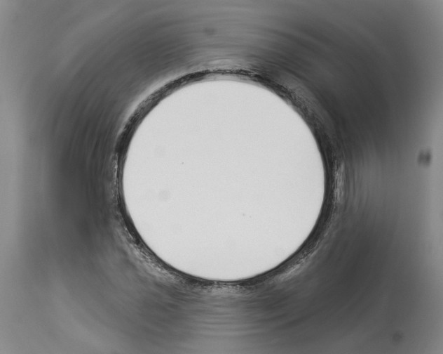 X0000113961021200911061321