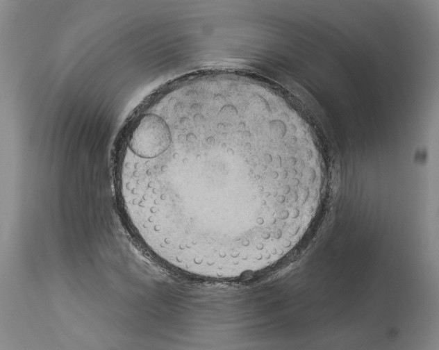 X0000113961022200911061321