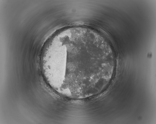 X0000113961023200911061321