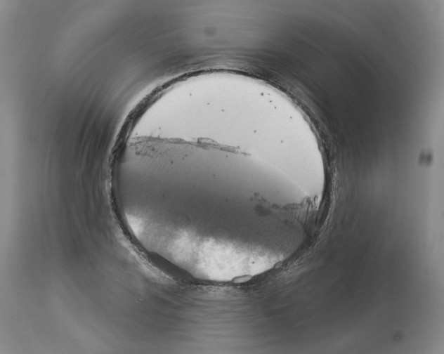 X0000113961024200911061321