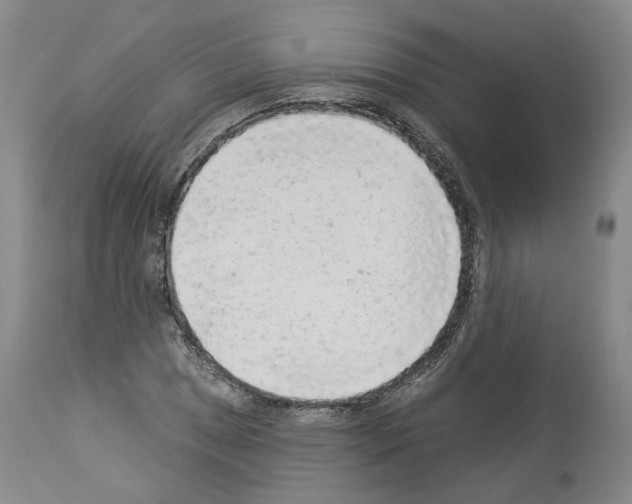 X0000113961025200911061321