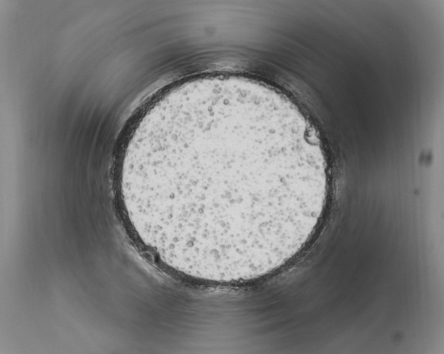 X0000113961026200911061321