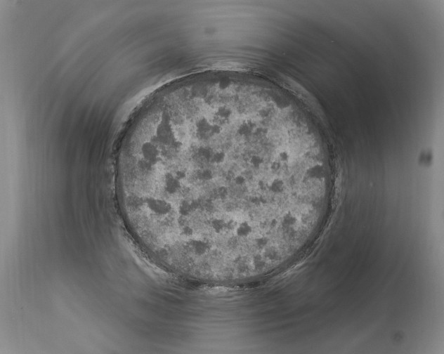 X0000113961027200911061321