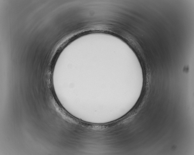 X0000113961029200911061321