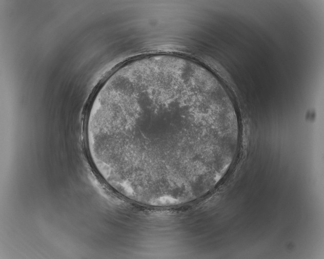 X0000113961031200911061321