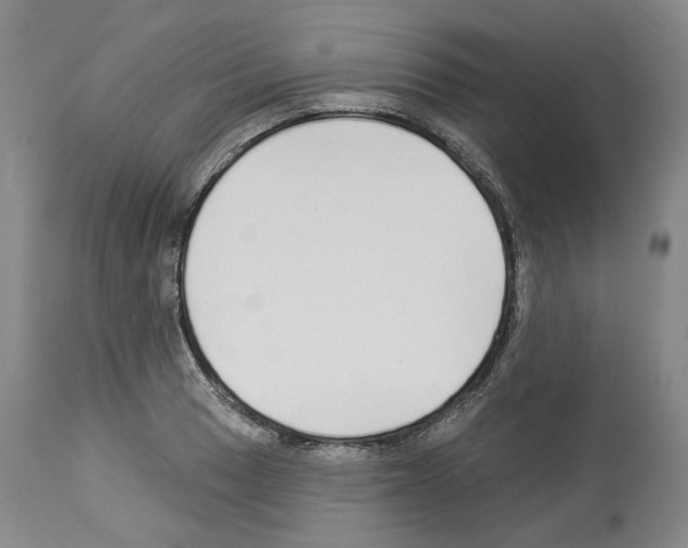 X0000113961033200911061321
