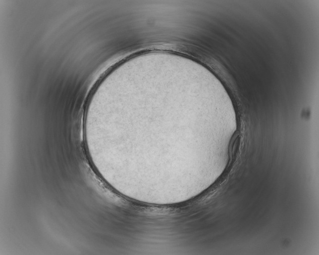 X0000113961036200911061321