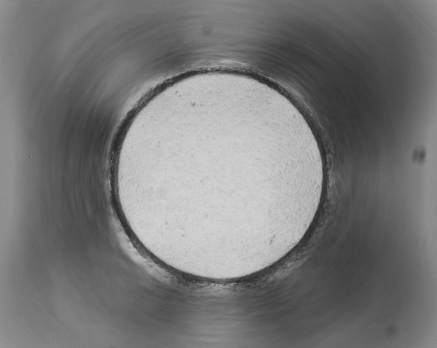 X0000113961038200911061321
